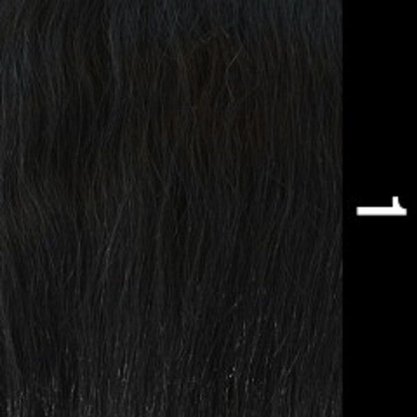 Freetress Equal Lace Front Deep Invisible Part CURLY HAIR Wig - Flemmie