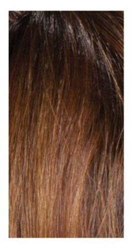 FreeTress Equal Syntheric Green Cap Lace Front Curly HAIR Wig – Glady