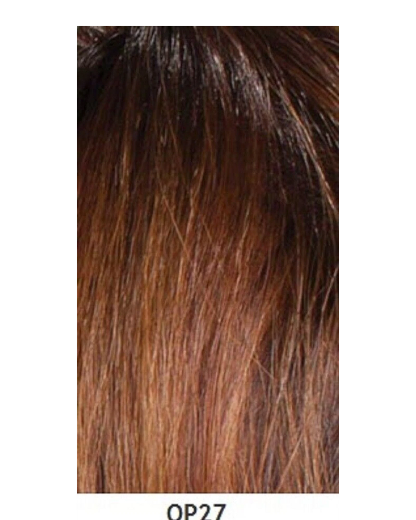 Cherish synthetic Curly Lace Front Long Straight Hair Wig - Stephanie